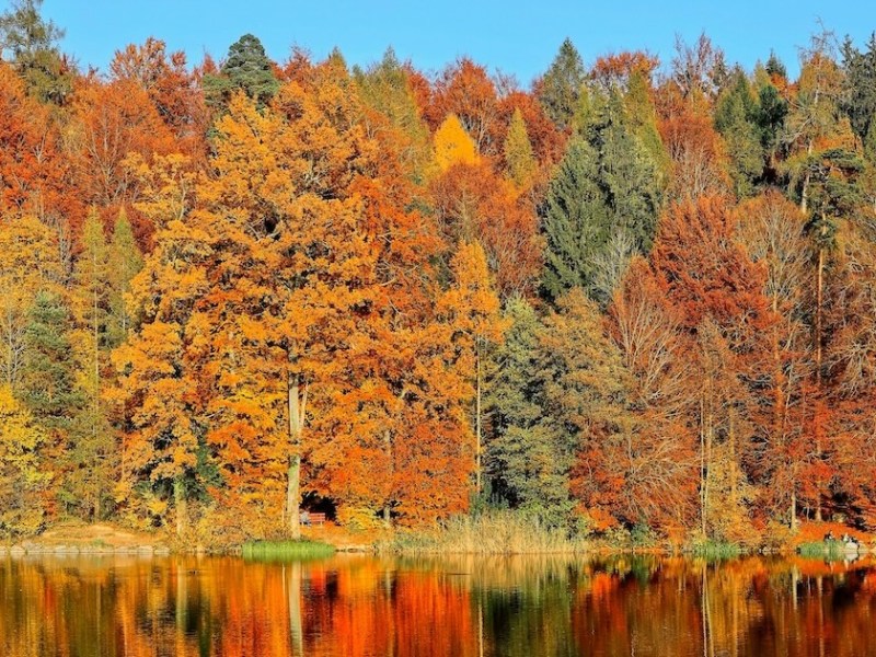 3 Fall Poetry&nbsp;Prompts