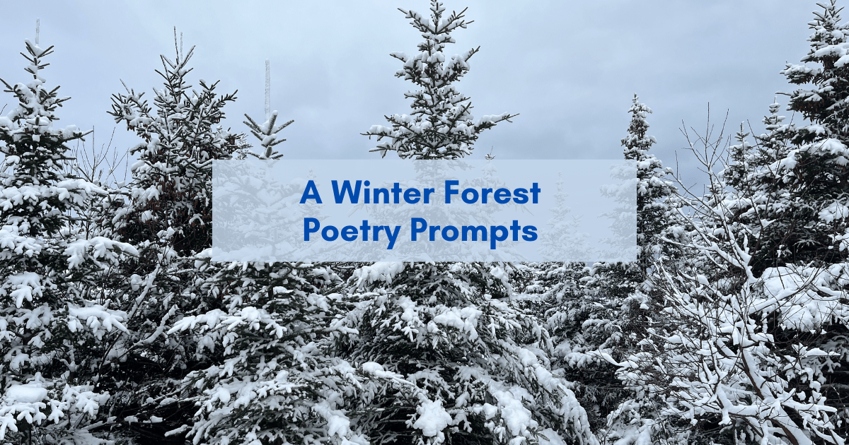 winter forest poetry prompts