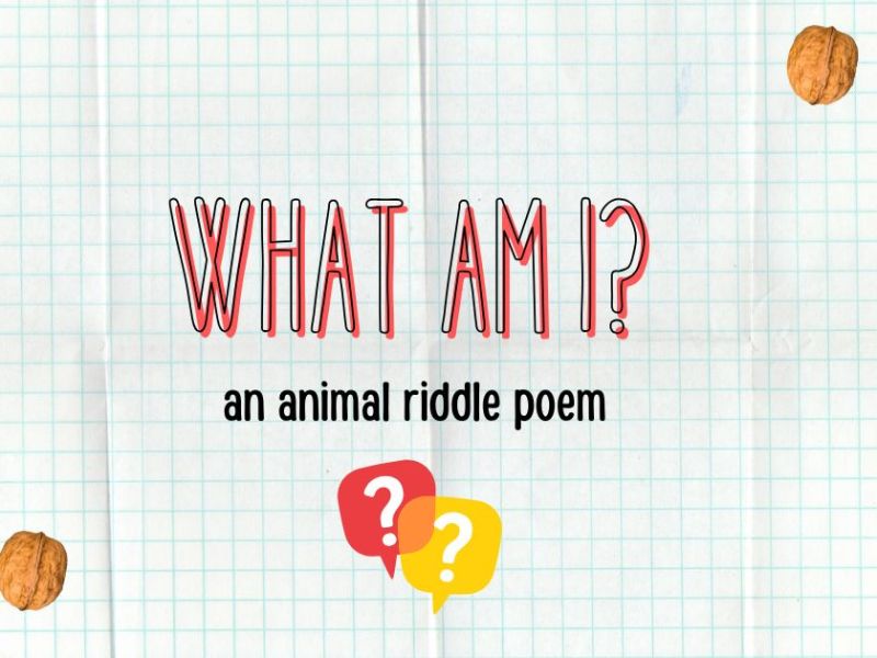 Spring Animal Riddle&nbsp;Poem