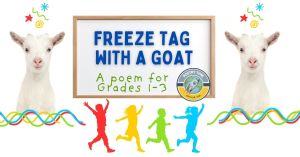freeze response poem elementary