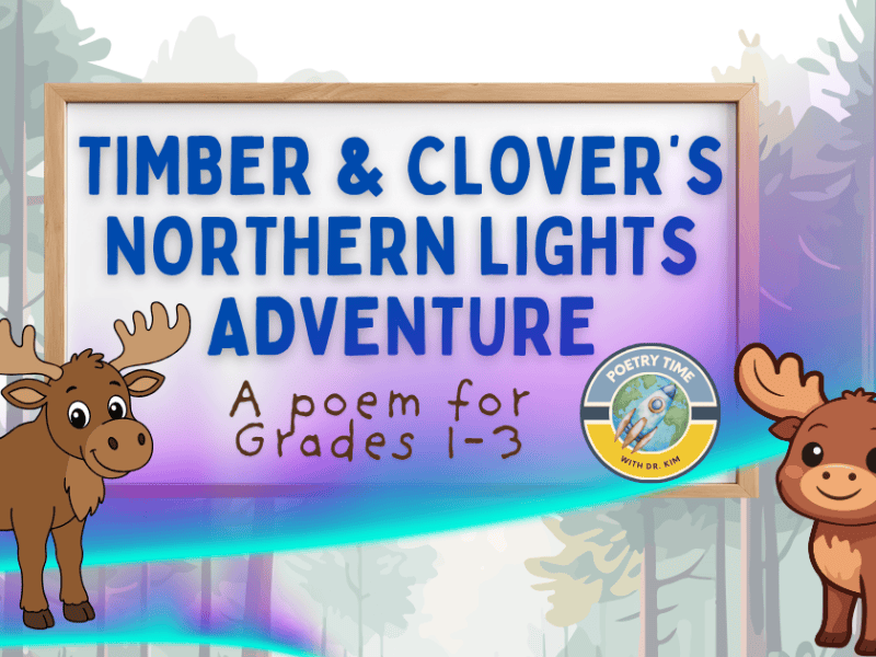 Northern Lights Adventure Poem, Grades&nbsp;1-3